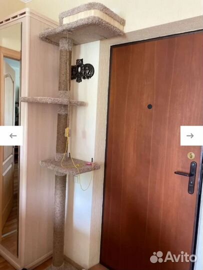 Домик для кошки с когтеточкой