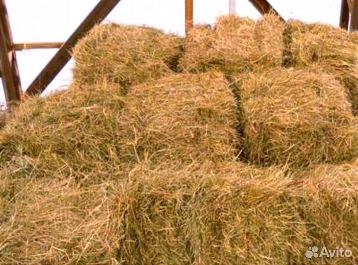 Сено луговое в тюках