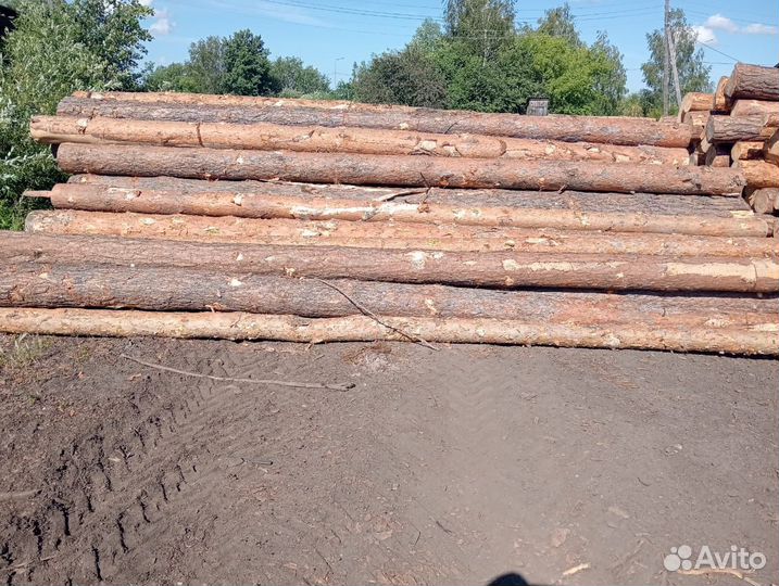 Лес кругляк пиловочник