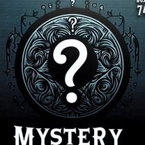 Mystery Box размер S