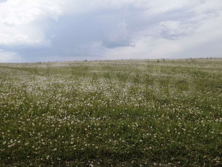 Участок 4,9 га (СНТ, ДНП)