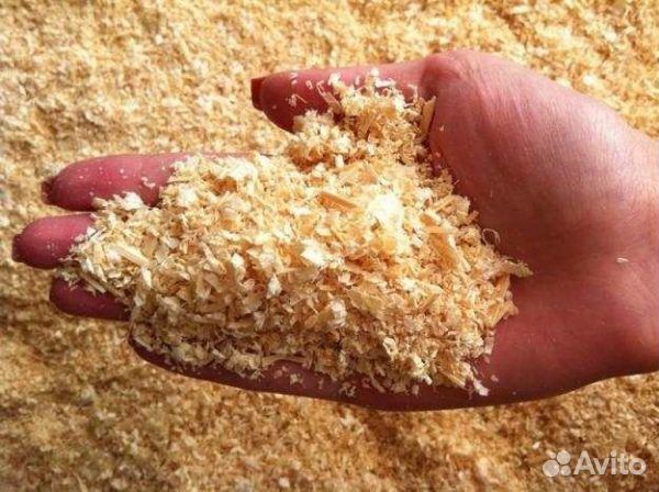 Сухие опилки (хвоя)