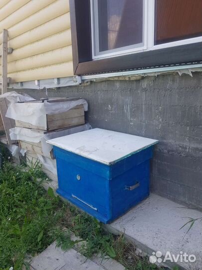 Улей для пчел