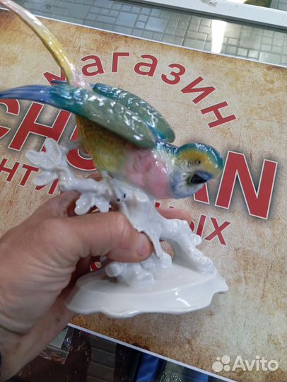 Фарфоровая статуэтка попугай Германия