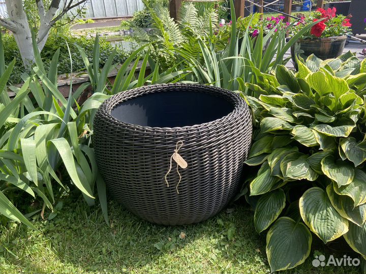 Кашпо минипруд из ротанга