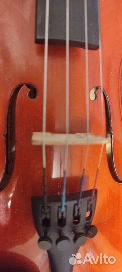 Скрипка 1/2