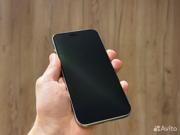 iPhone 15 Pro Max, 256 ГБ