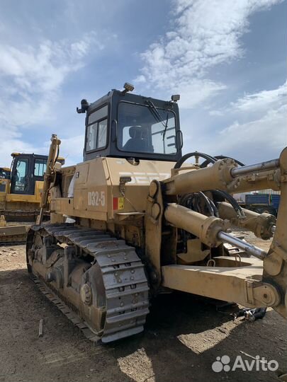 Beezone D32, 2023