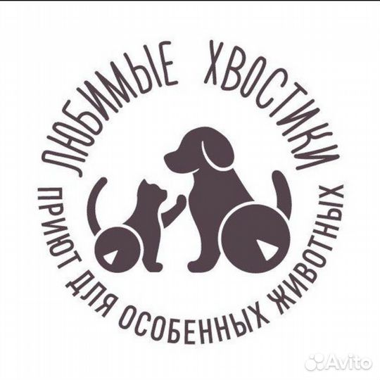 Помощник в приют для животных