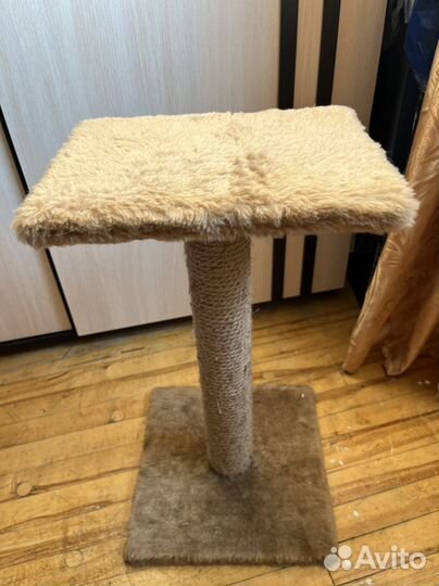 Когтеточка и суспензия для кошек и котят