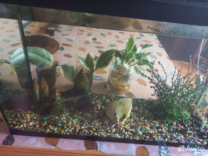 Аквариум