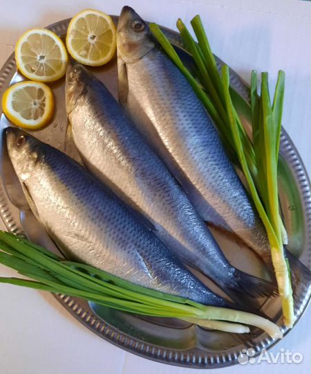 Копченая рыба