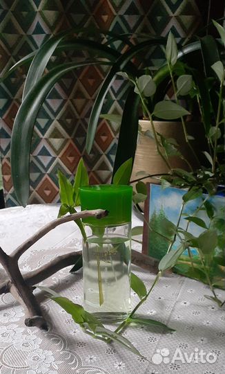 Парфюм винтаж Bambou Yves Rosher на распив делюсь