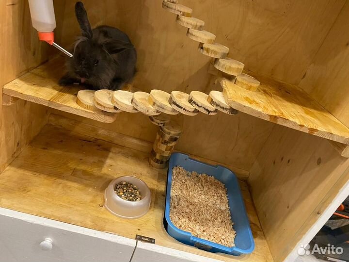 Домик для грызунов