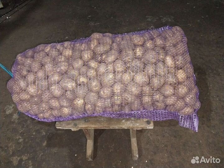 Семена винета