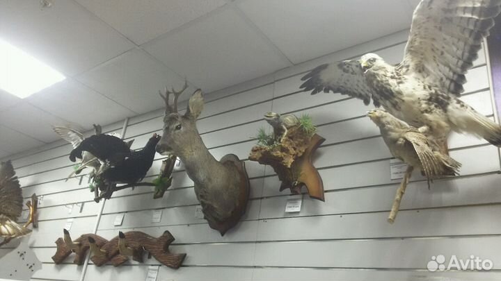 Ковер барсук