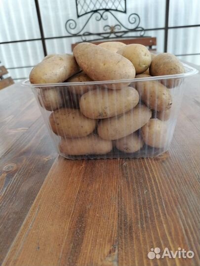 Картофель (Адретта )