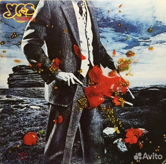 Список винила Y + 4 новых поступления