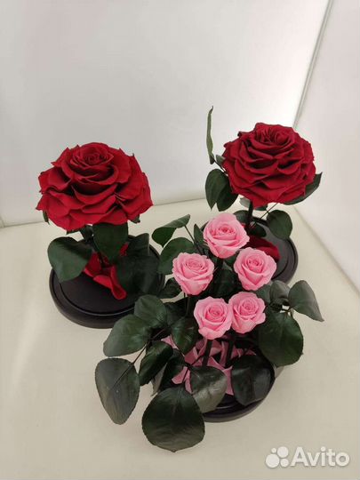 Цветы оптом