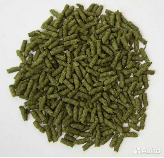 Корм для черепах