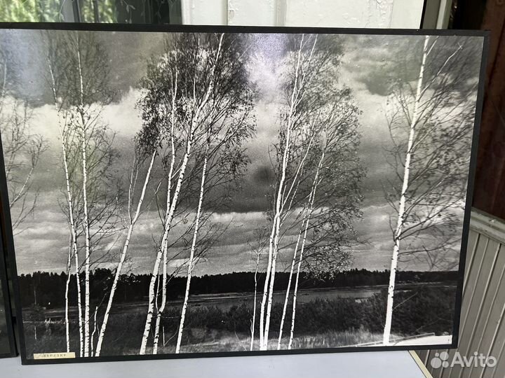 Фотокартина для интерьера