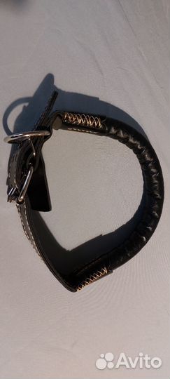 Ошейник для собаки