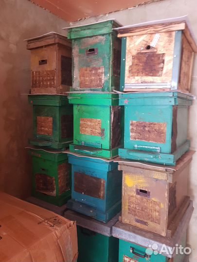 Ловушка для пчел