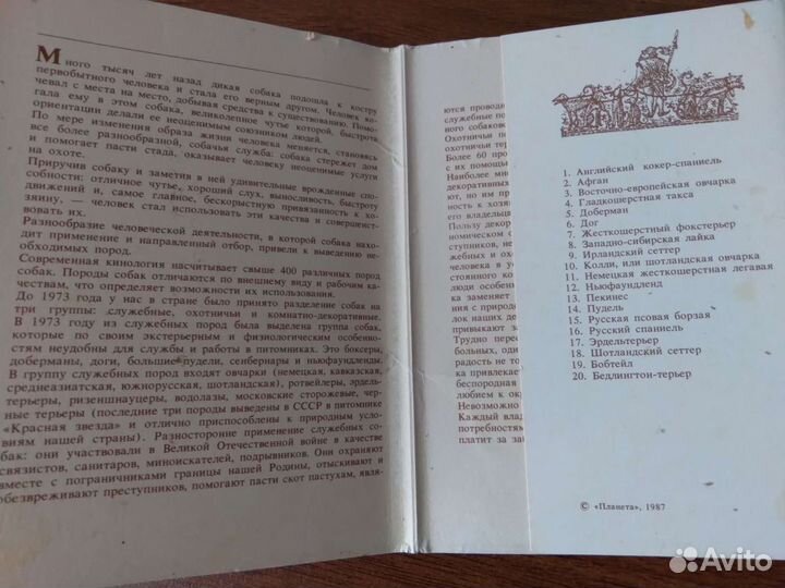 Открытки - Наши верные друзья. Породы собак