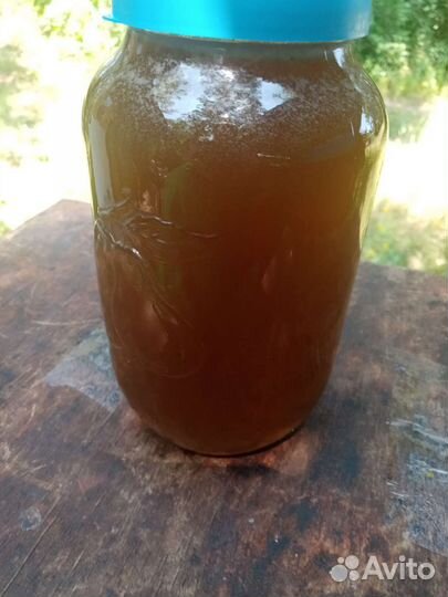 Продам мед липовый