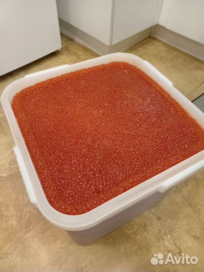 Красная икра 2023