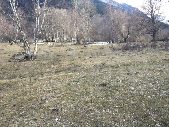 Участок 50 сот. (ИЖС)