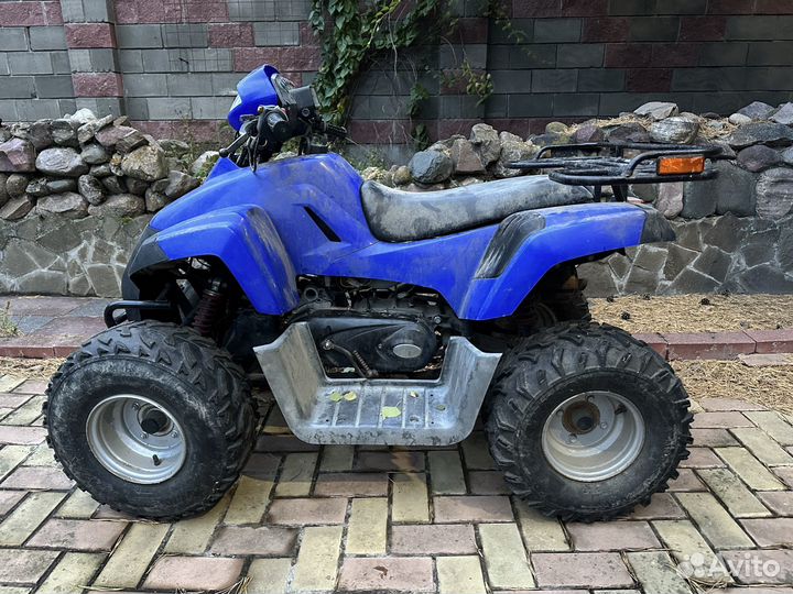Квадроцикл Stels ATV-110 D