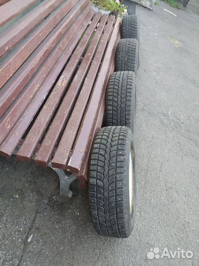 Р13 кама ирбис шипы