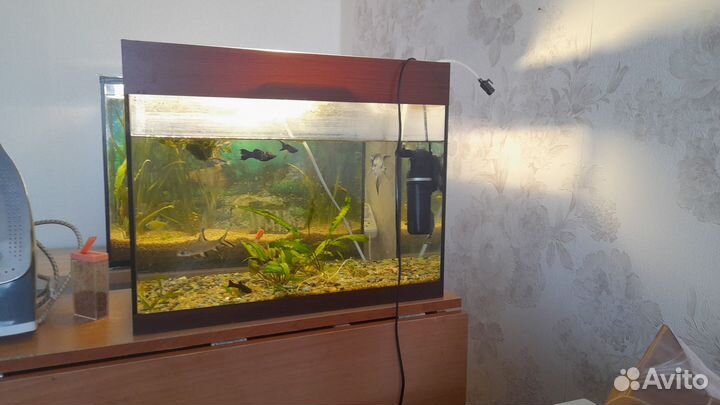Аквариум