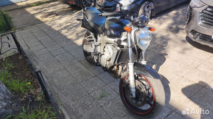 Yamaha fz6n