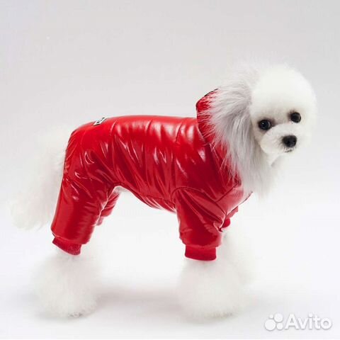 Комбинезон для маленькой собаки