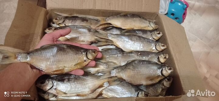 Вобла Астраханская