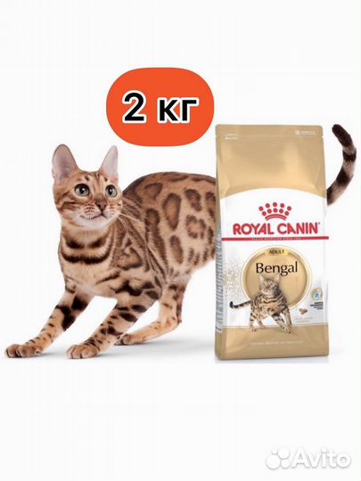 Royal canin bengal adult