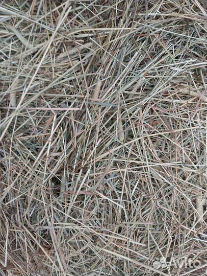 Сено в рулонах 2023 с доставкой