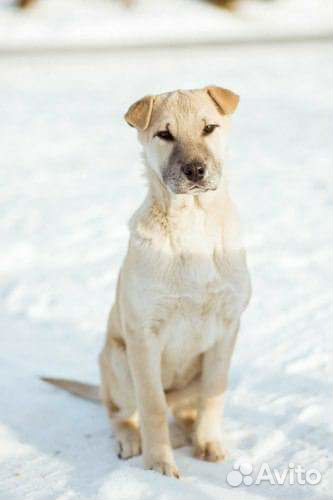 Мы одна команда