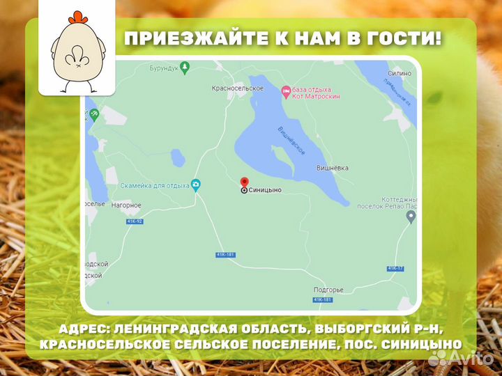 Фарш и фрикадельки