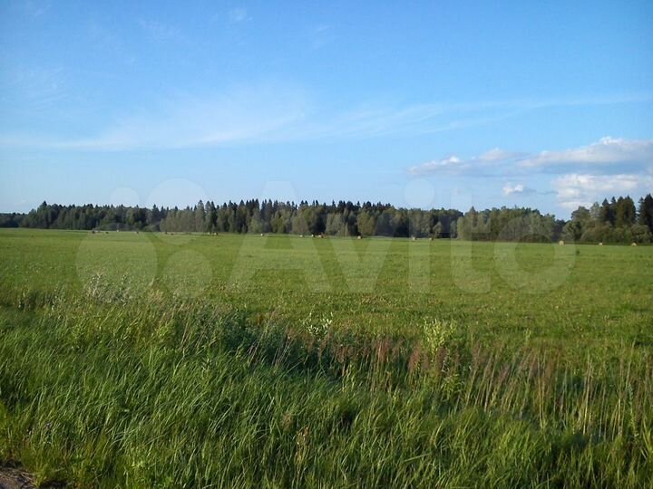 Участок 6 сот. (СНТ, ДНП)