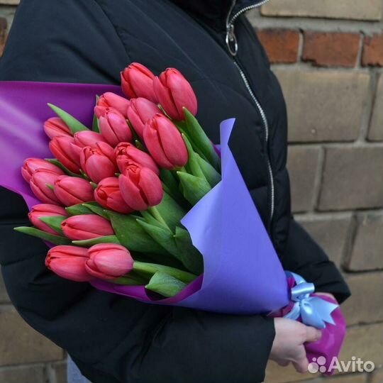 Тюльпаны красные