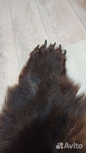 Шкура медведя имитация