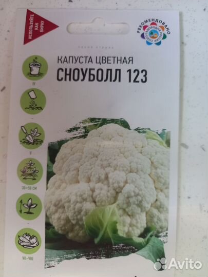 Капуста рассада