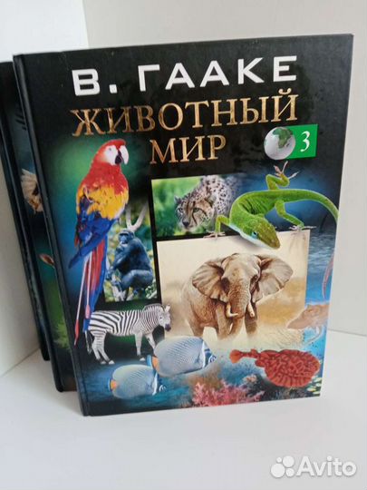 Энциклопедия 