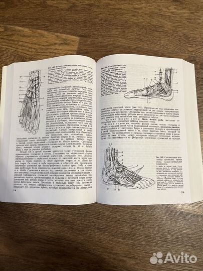 Учебник по Анатомии Привес