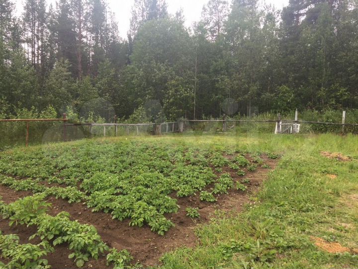 Участок 10 сот. (СНТ, ДНП)