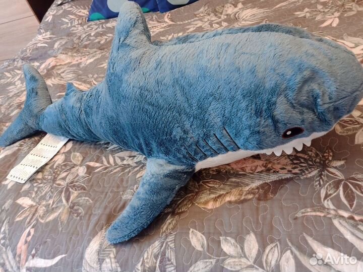 Акула блохэй Икеа