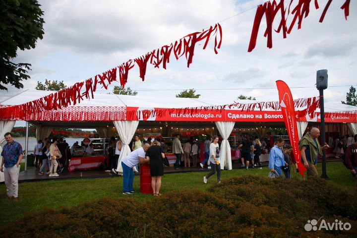 Тентовый павильон 10